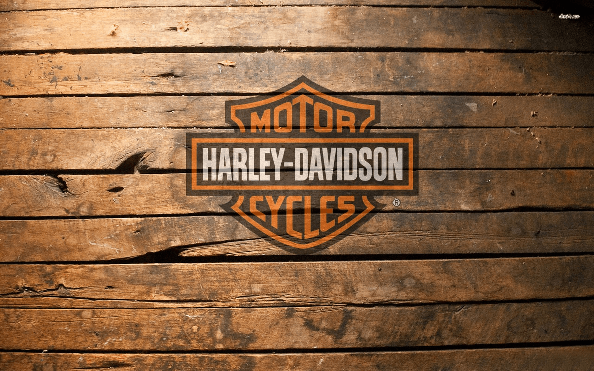 Harley Davidson logo wallpaper wallpaper