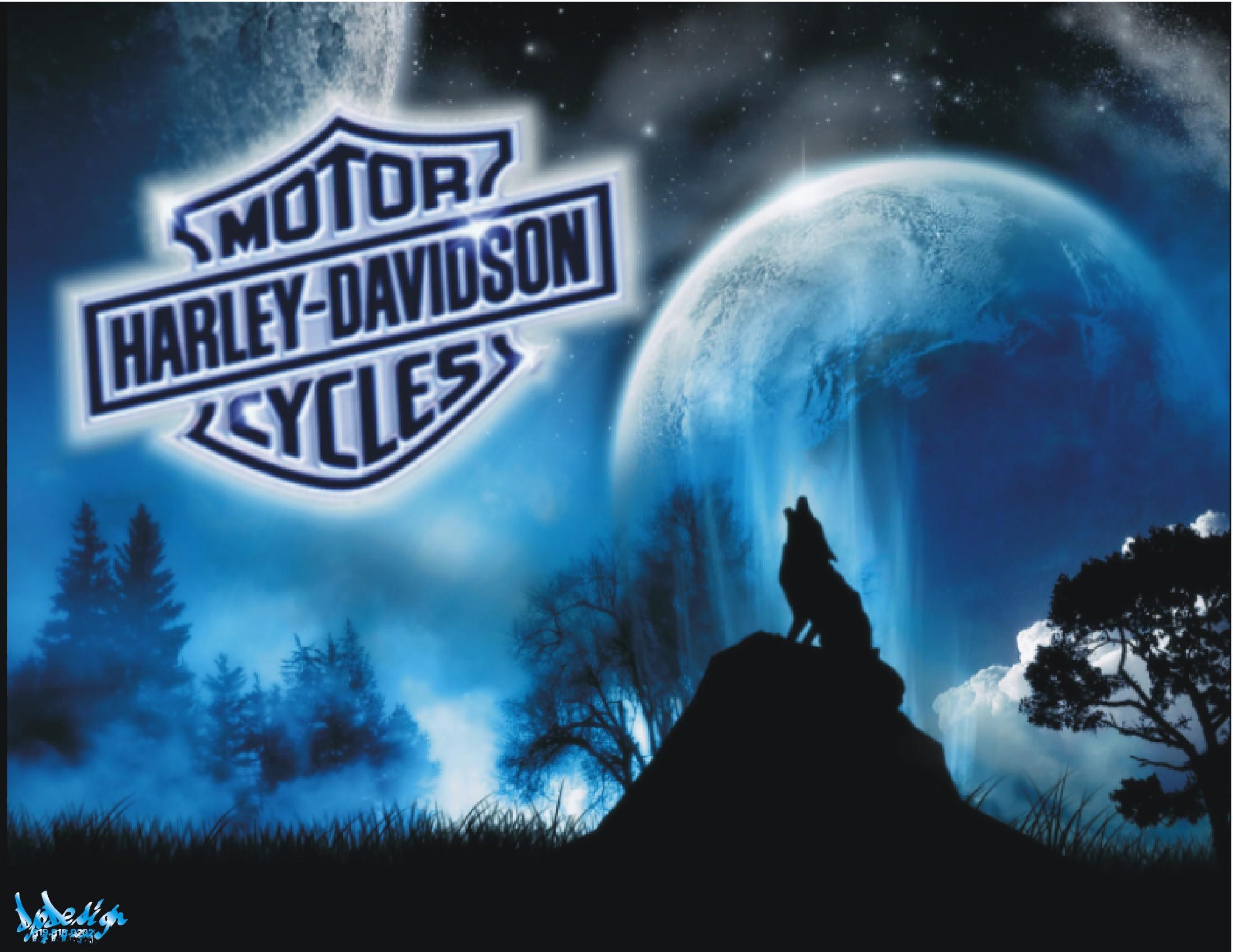 Harley Davidson Logo Wolf Free 4k Amazing Tablet Colourful