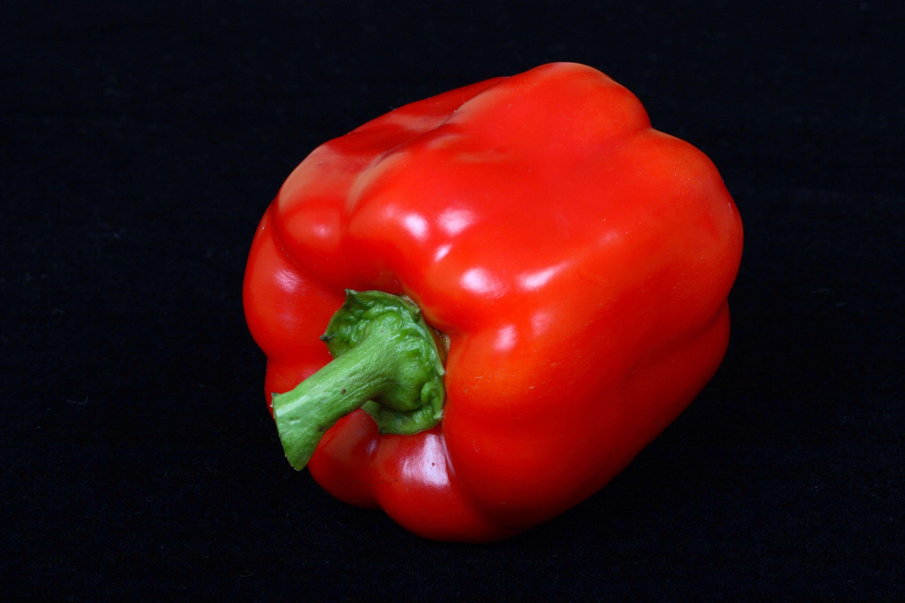 red, sweet pepper, vegetable wallpaper