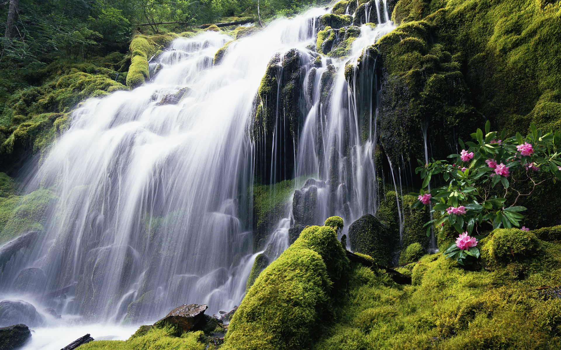 Beautiful Jungle Waterfall Desktop Wallpaper