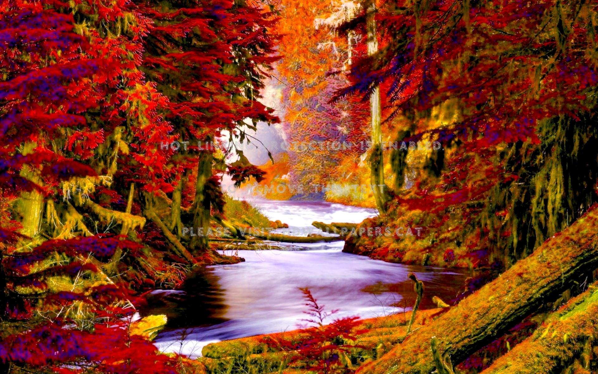 creek in a colorful autumn forest logs