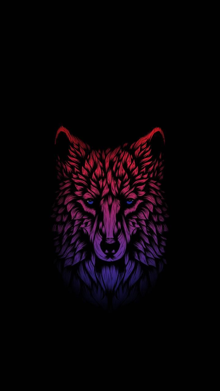 Wolf AMOLED HD Wallpaper