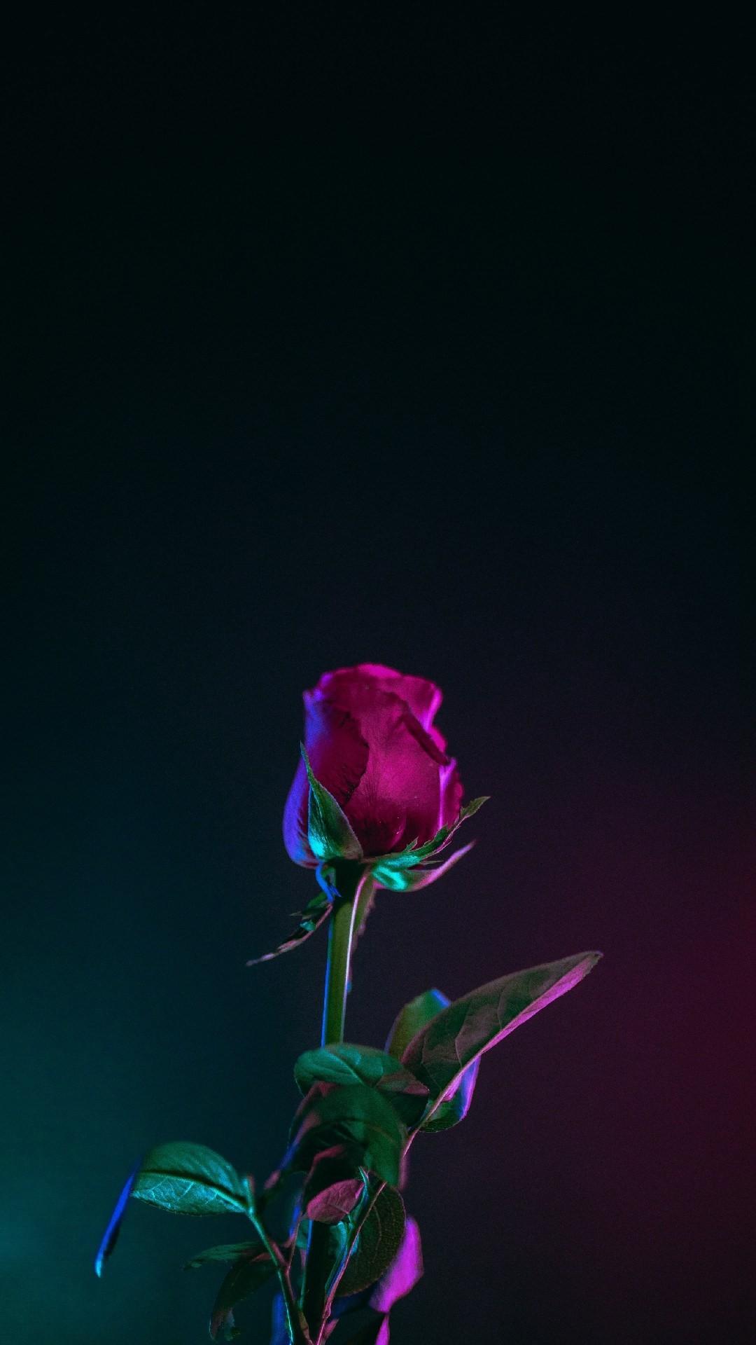 4K Phone Wallpaper background picture