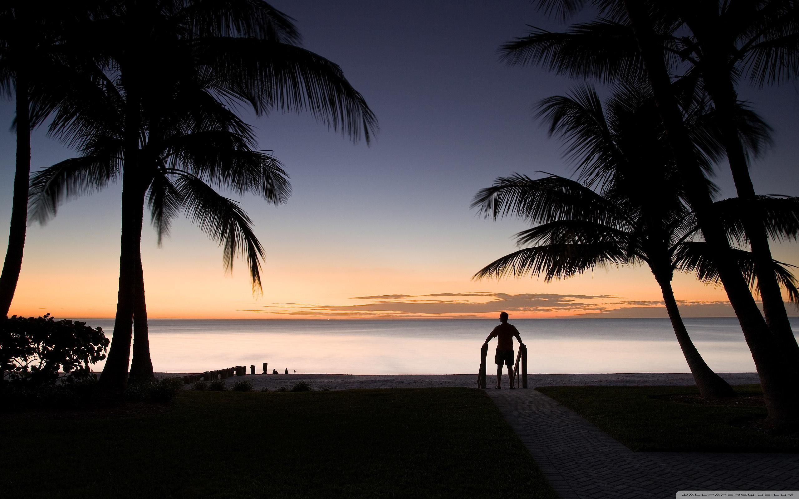 Tropical Beach Silhouette ❤ 4K HD Desktop Wallpaper for 4K