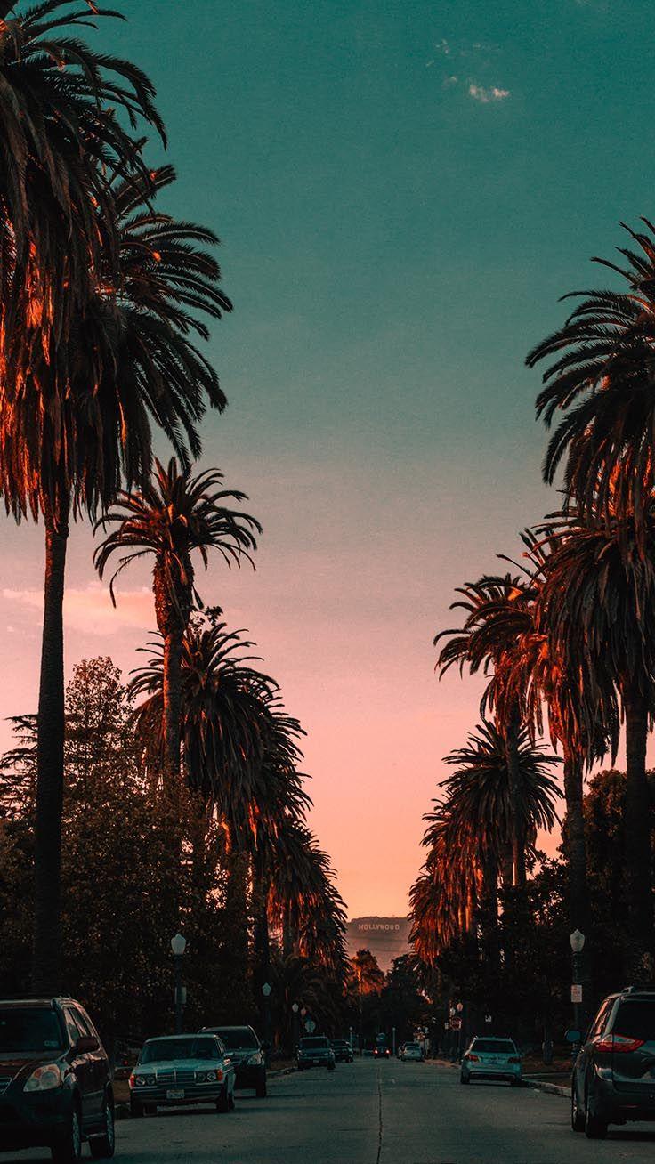 Beautiful Los Angeles iPhone X Wallpaper. Art of nature