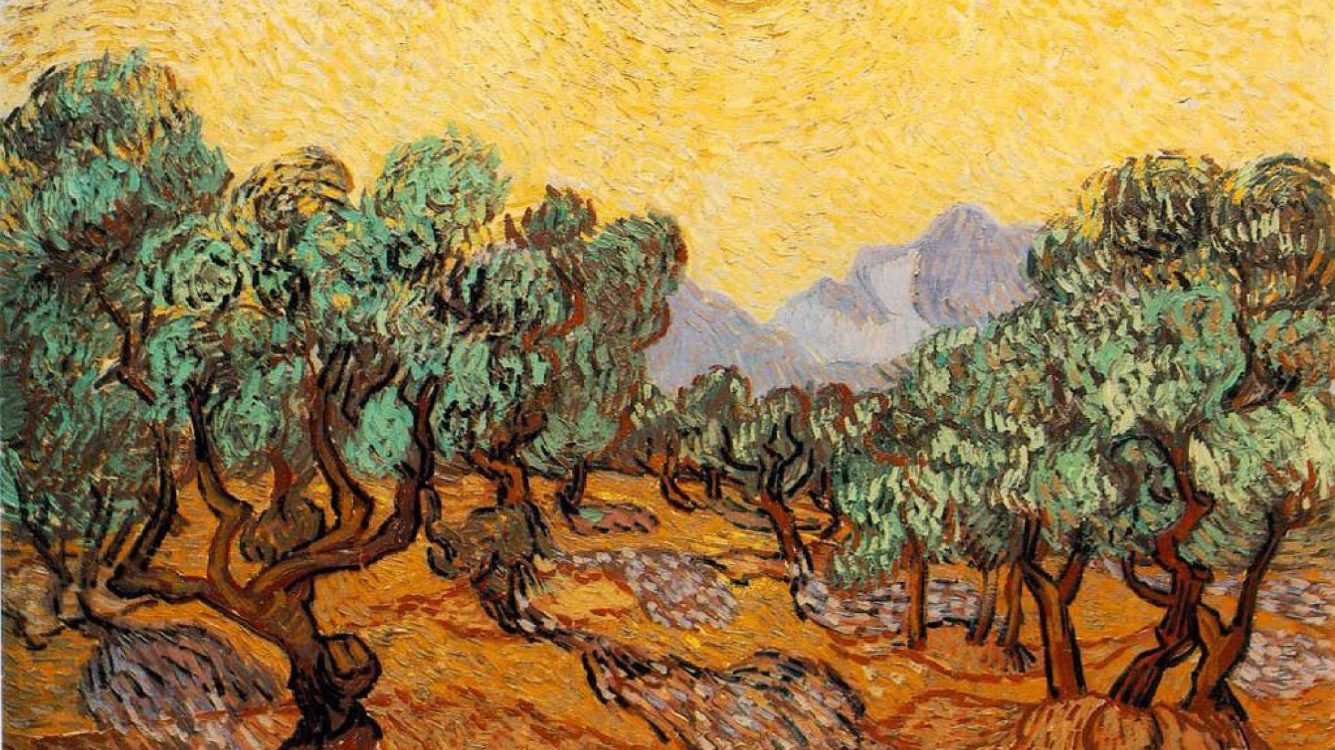 Van Gogh Tree Wallpaper Free Van Gogh Tree Background