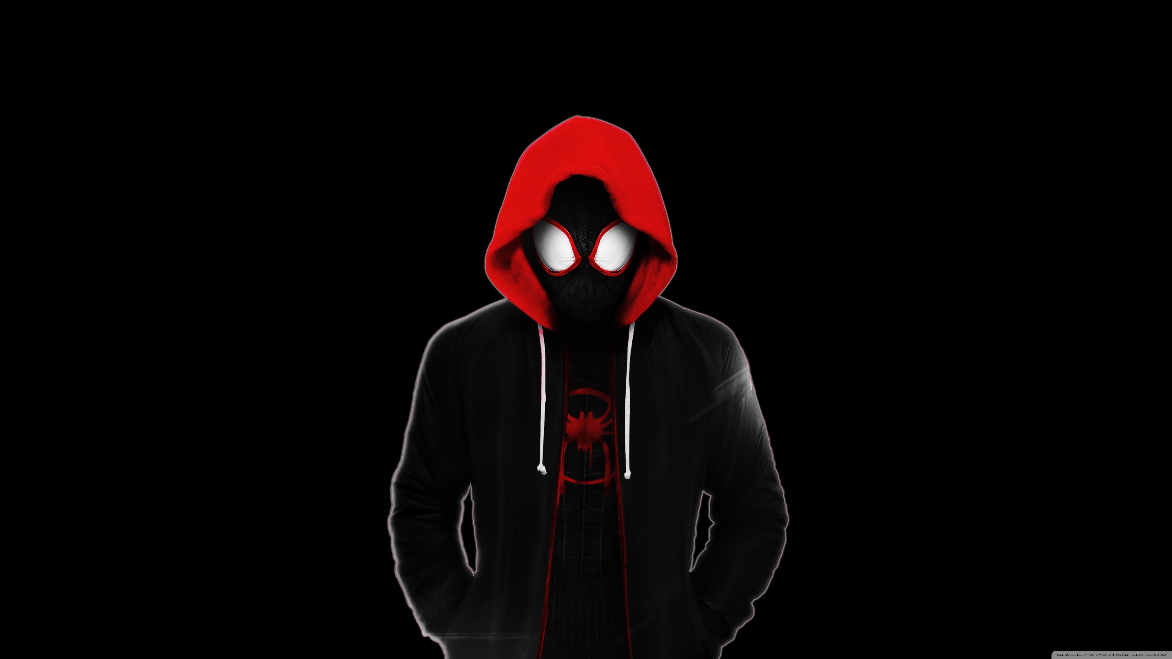 Spider Man Into The Spider Verse Dark Ultra HD Desktop