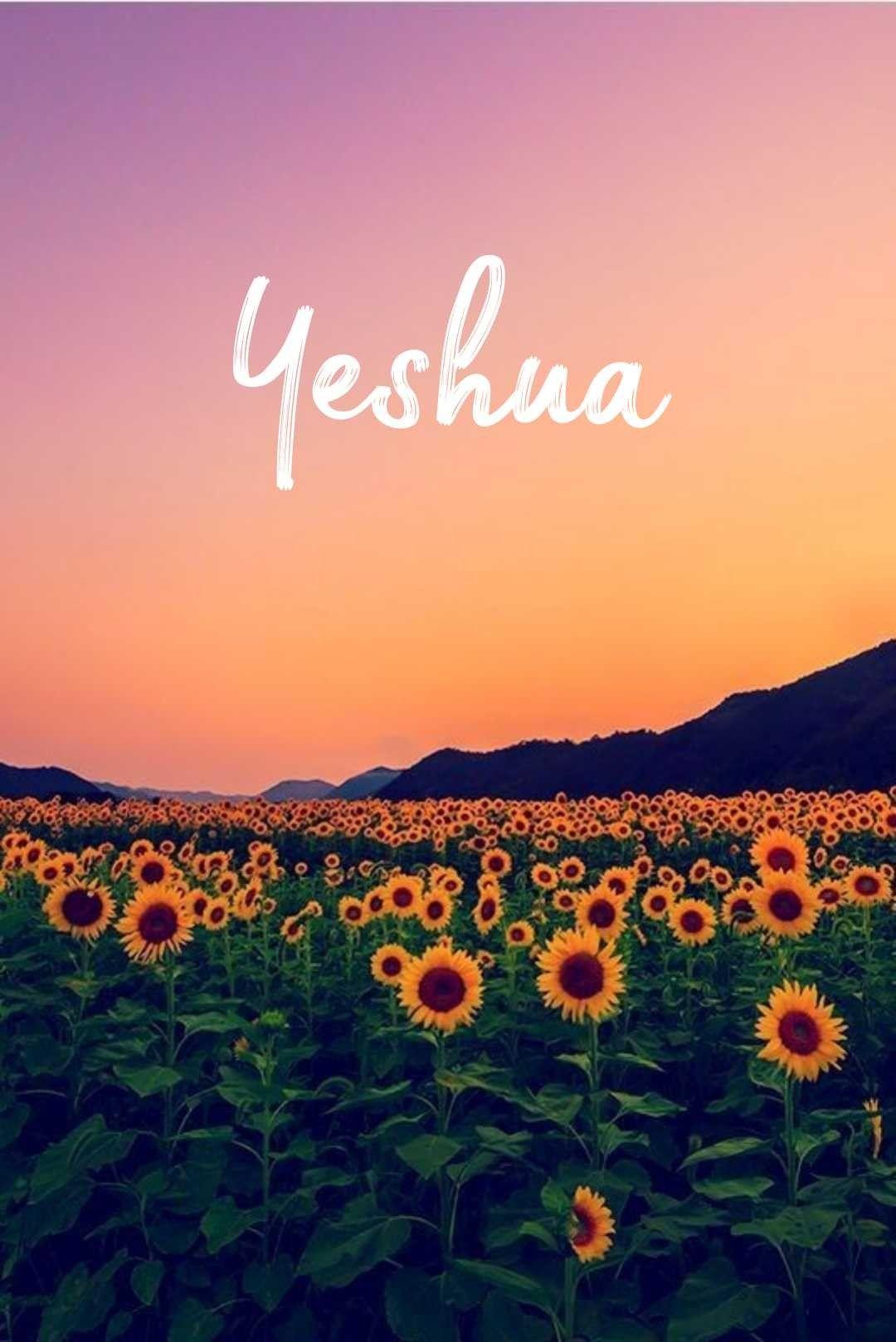Free download Yeshua Wallpaper 1920x1200 for your Desktop Mobile   Tablet  Explore 78 Yeshua Wallpaper 
