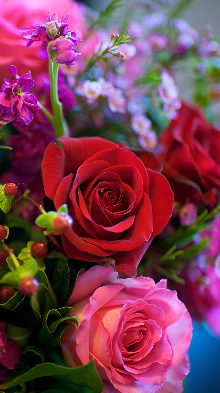 Mobile Red Rose Flowers Wallpapers - Wallpaper Cave