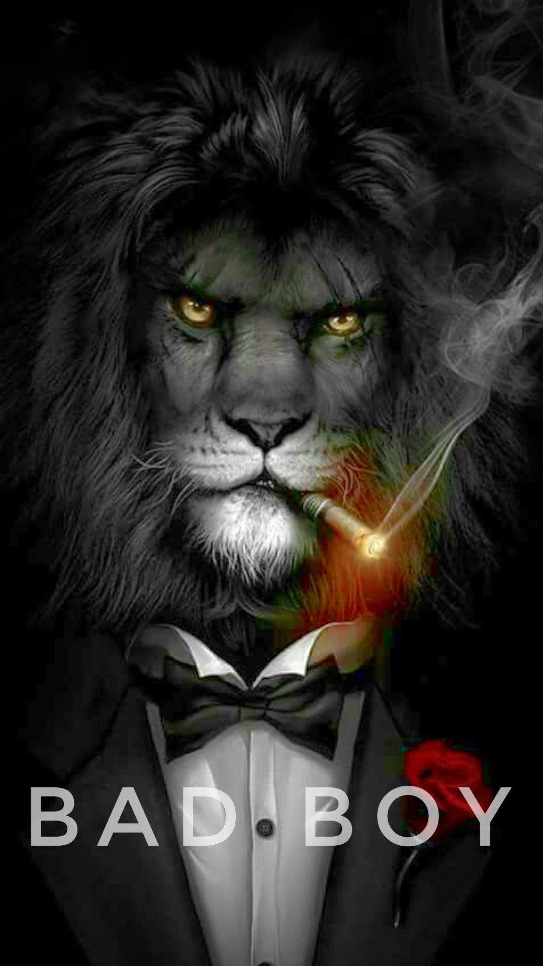 Bad boy. Lion HD wallpaper, Lion art, Lion picture