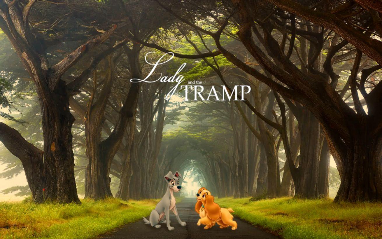 Lady And The Tramp 2019 Wallpapers - Wallpaper Cave