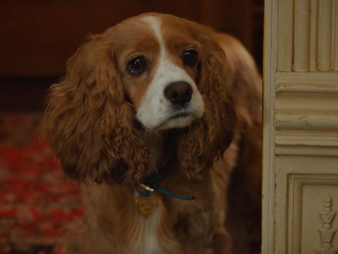 Lady and the Tramp D23 trailer brings Disney's animated