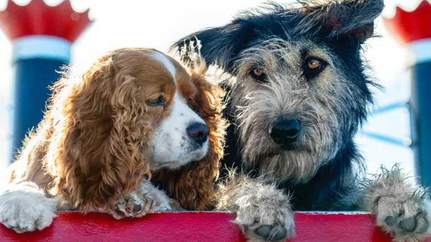 Here's The First Trailer For Disney's Live Action Lady