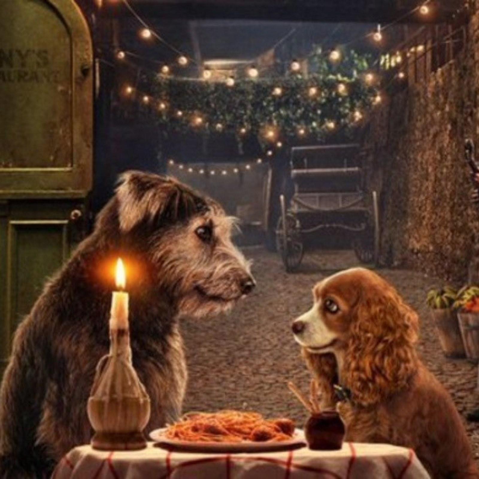 Lady and the Tramp' 2019: Everything You Need to Know About
