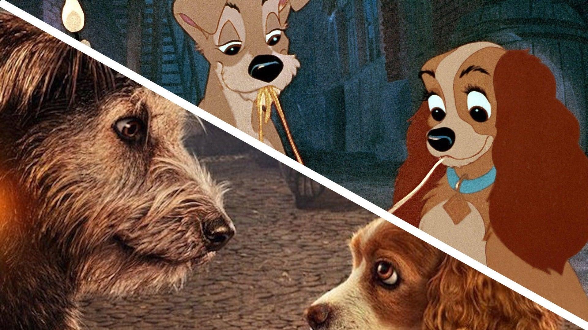 Lady And The Tramp 2019 Wallpapers - Wallpaper Cave