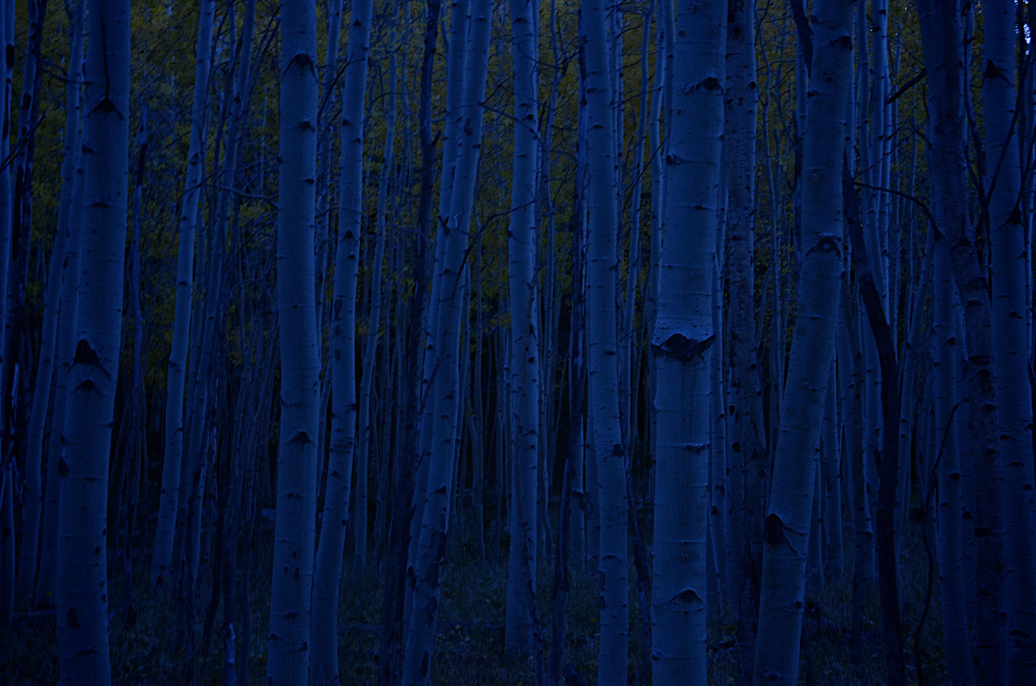 Dark Blue Background Tumblr, HD Wallpaper - ++ wallpaper