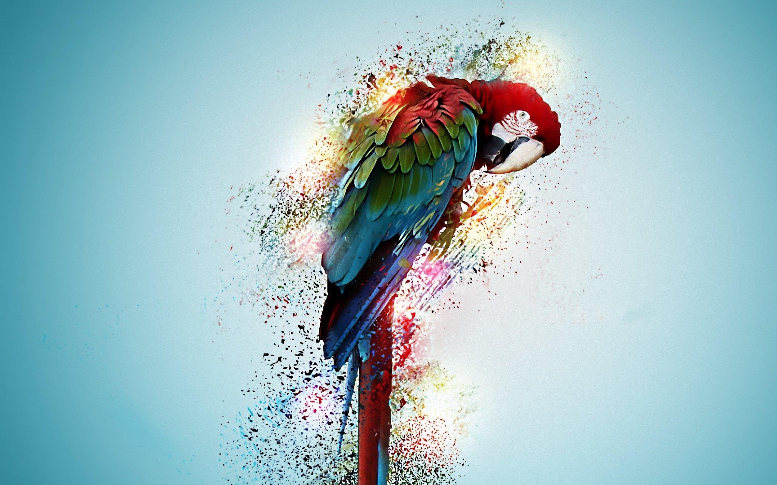 macaw, Parrot, Bird, Tropical, Psychedelic, Artwork, Art