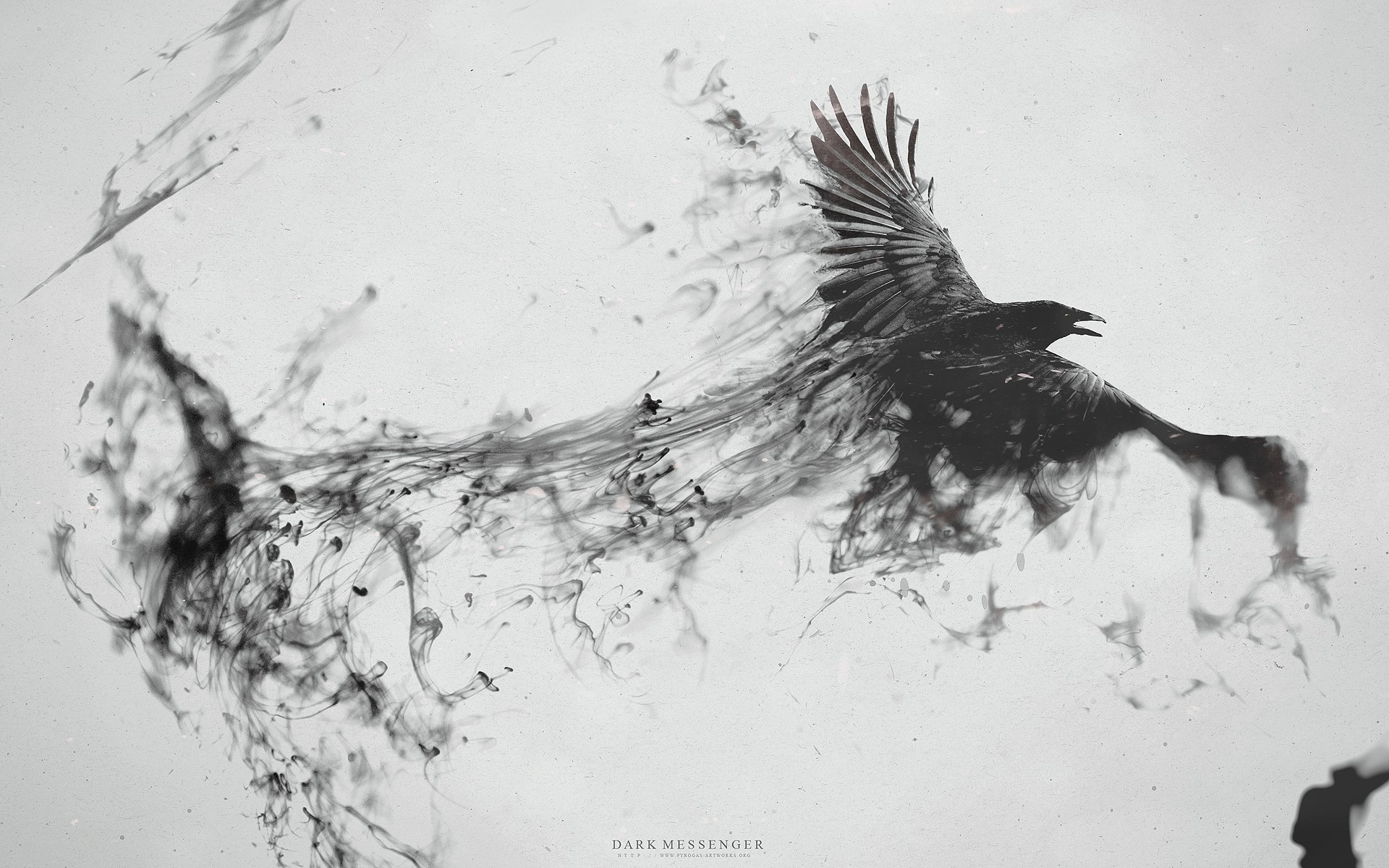 black and white dark birds digital art ravens 1920x1200 wallpaper High Quality Wallpaper, High Definition Wallpaper