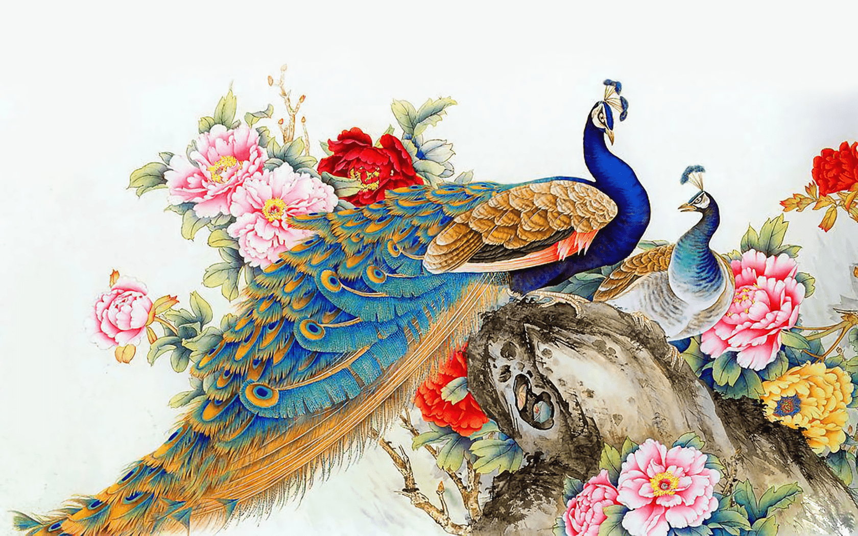 Peacock Art Wallpaper and Background Imagex1050