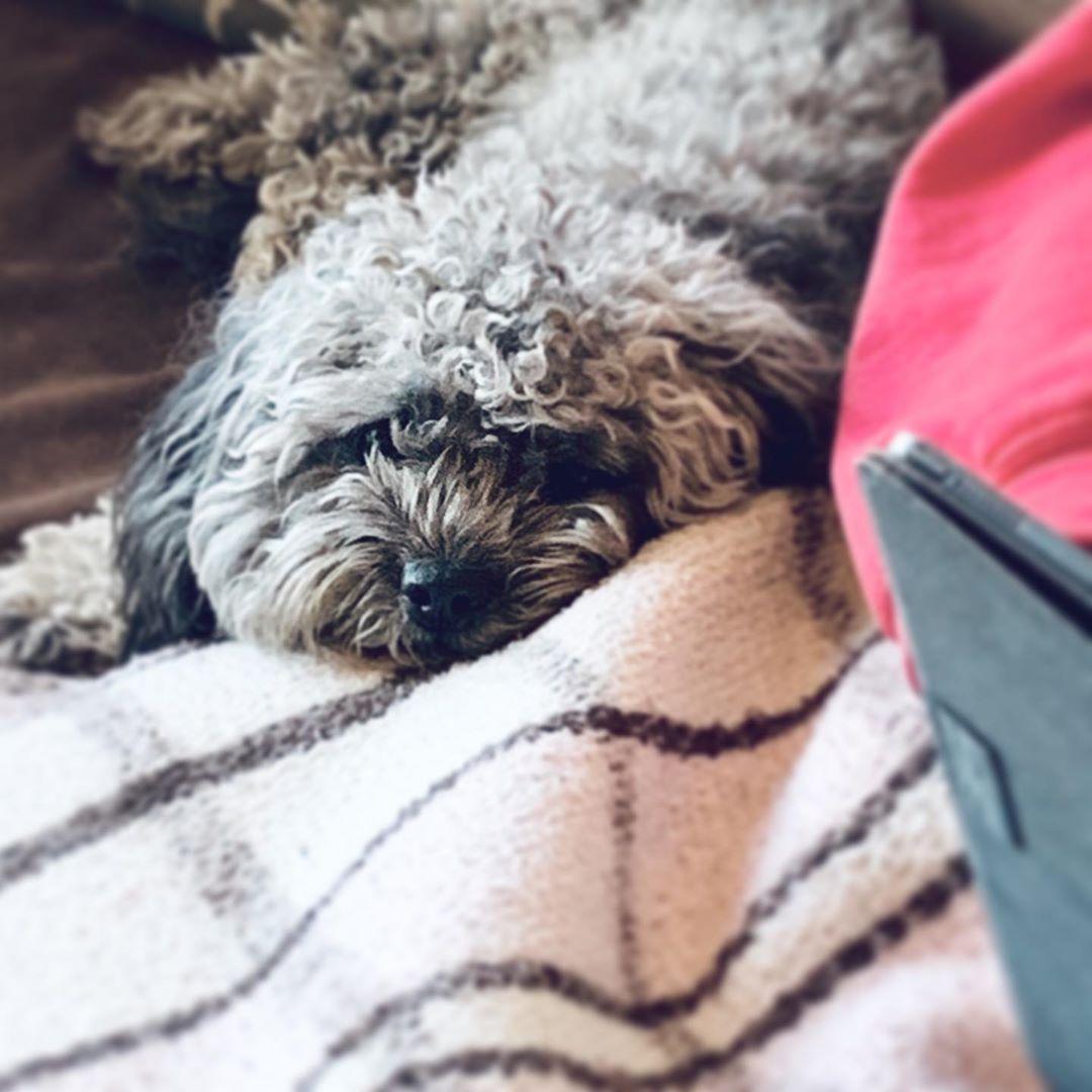 impooped Instagram Photo and Videos