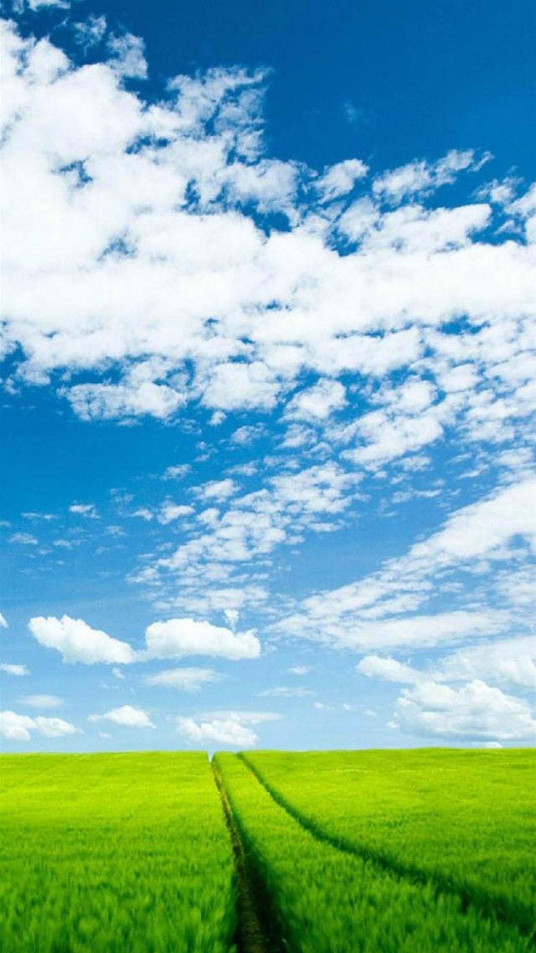 Nature Sunshine Green Corp Field Cloudy Sky iPhone 8