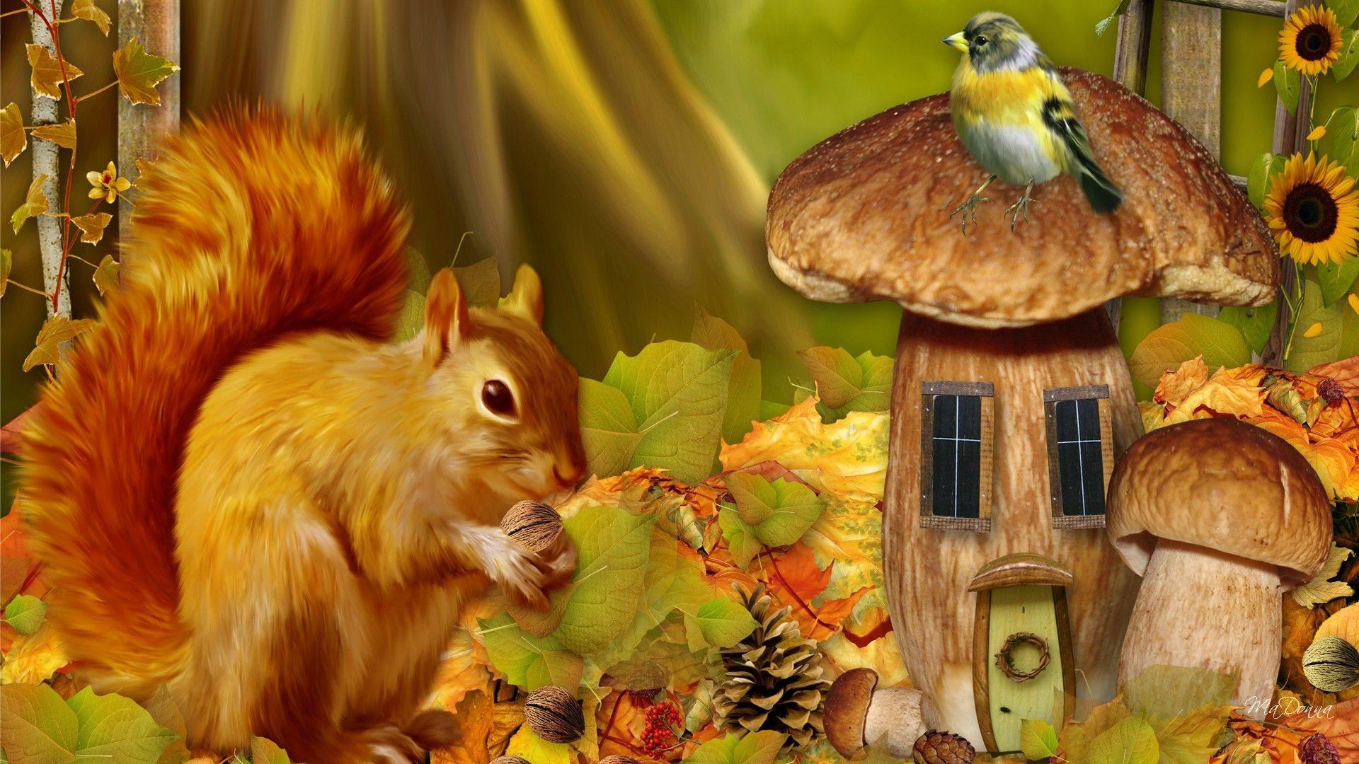 free whimsical creatures in autumn pics. Cheerful Squirrel HD wallpaper. Autumn leaves, Fairy picture, Squirrel