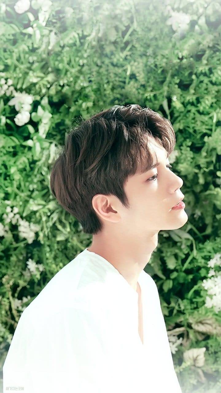 WN ONG SEONGWOO Wallpaper