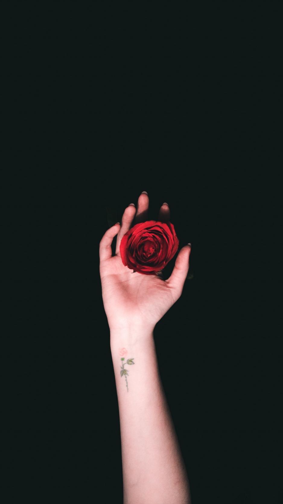 Download wallpaper 938x1668 hand, roses, tattoo, minimalism