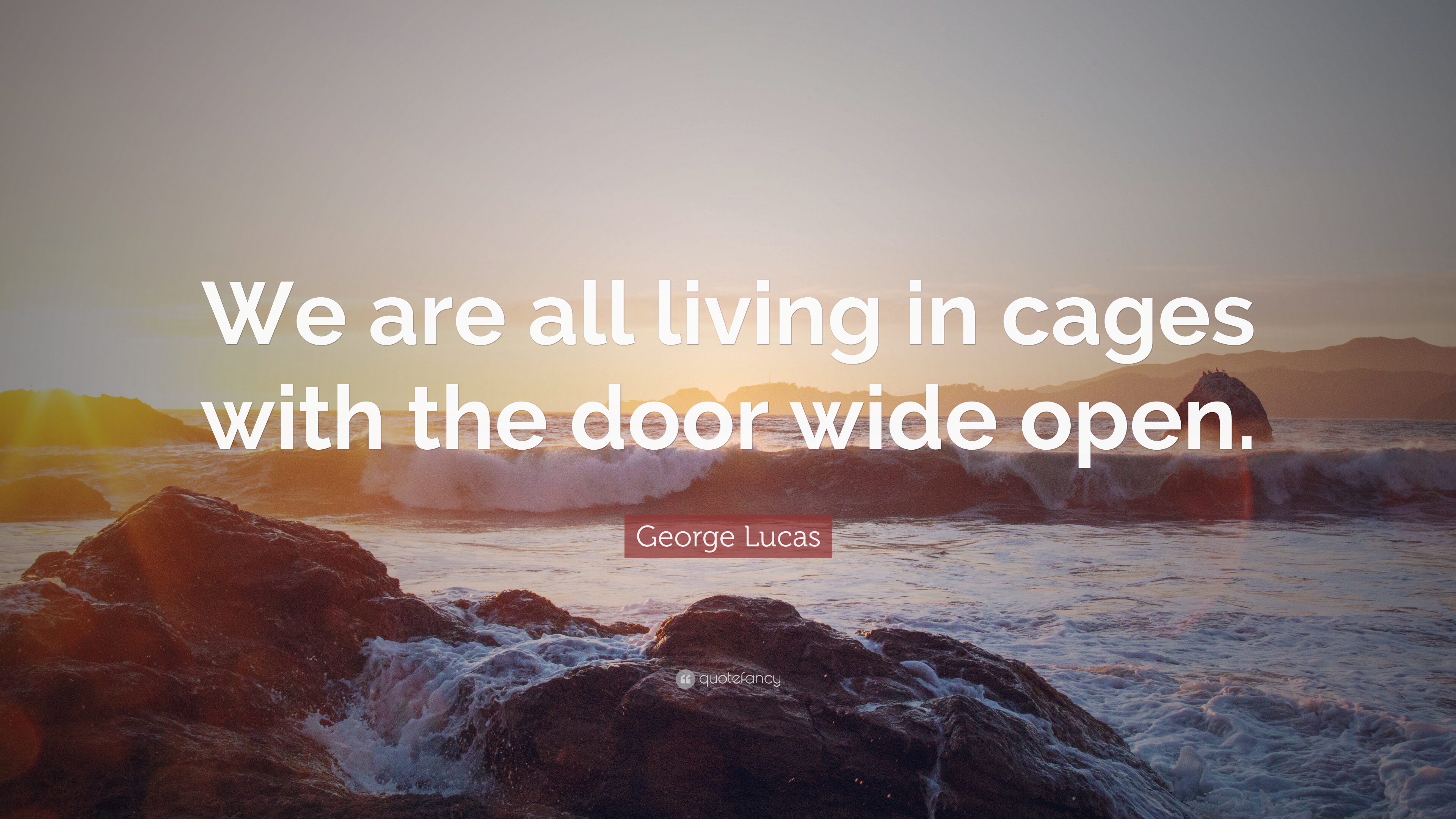 George Lucas Quote: "We are all living in cages with the 