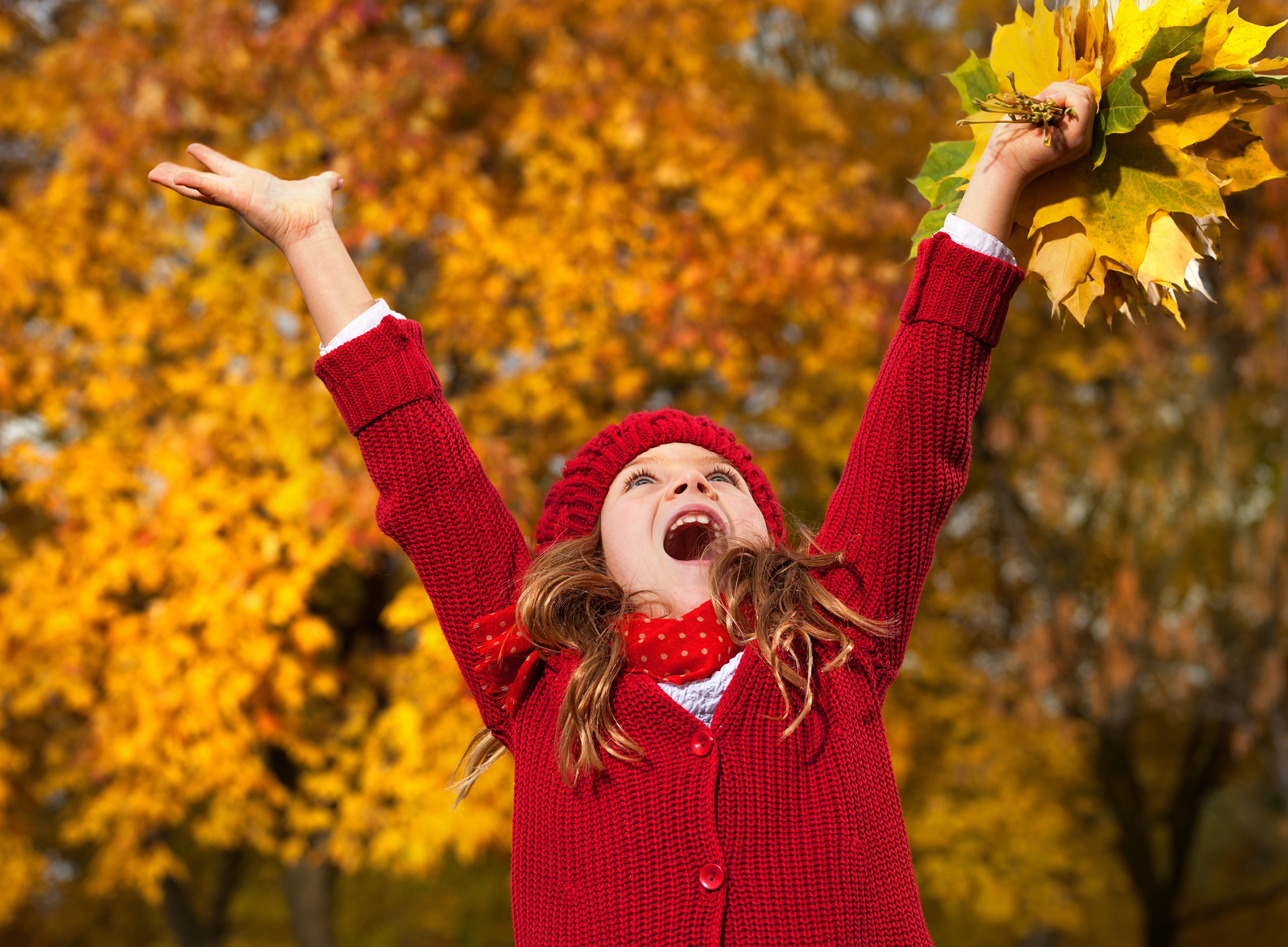 hand, lovely, Lady In Red, leaves, beautiful, autumn