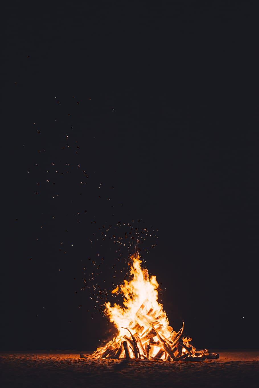 HD wallpaper: photography of burning camp fire, untitled