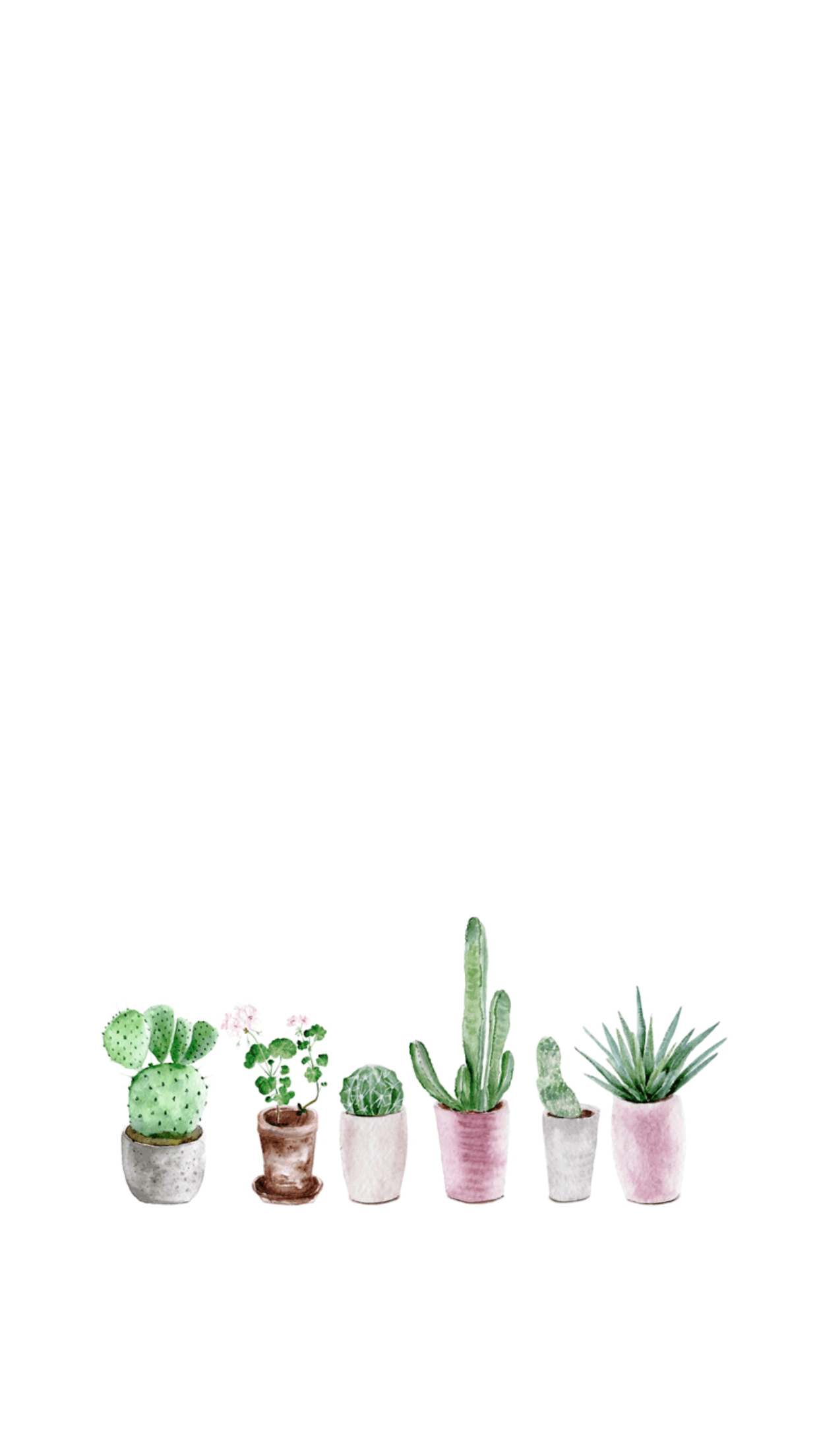 Best 4 Wanderlust on Hip cute aesthetic cactus HD wallpaper  Pxfuel