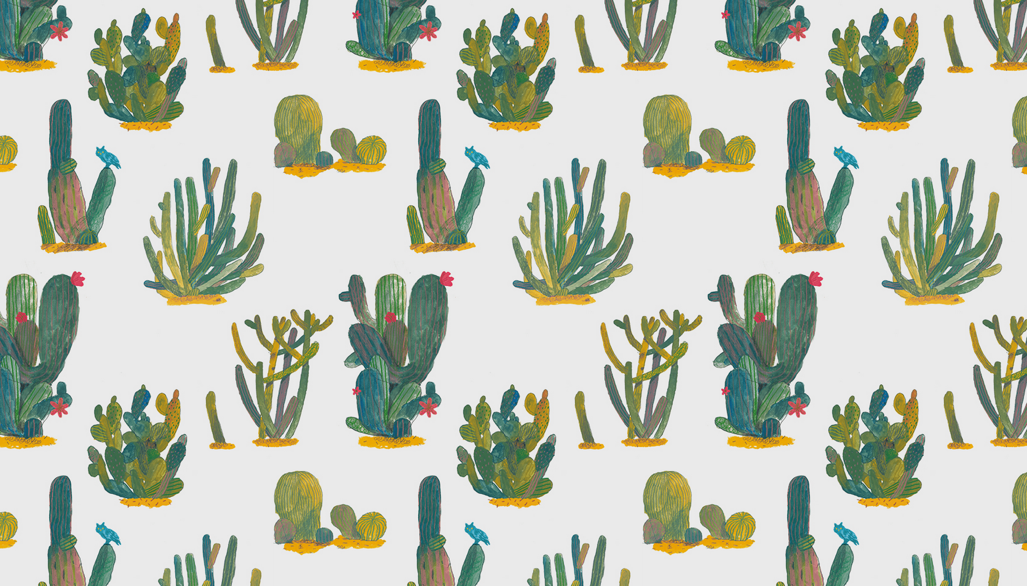 Cactus Wallpaper Tumblr