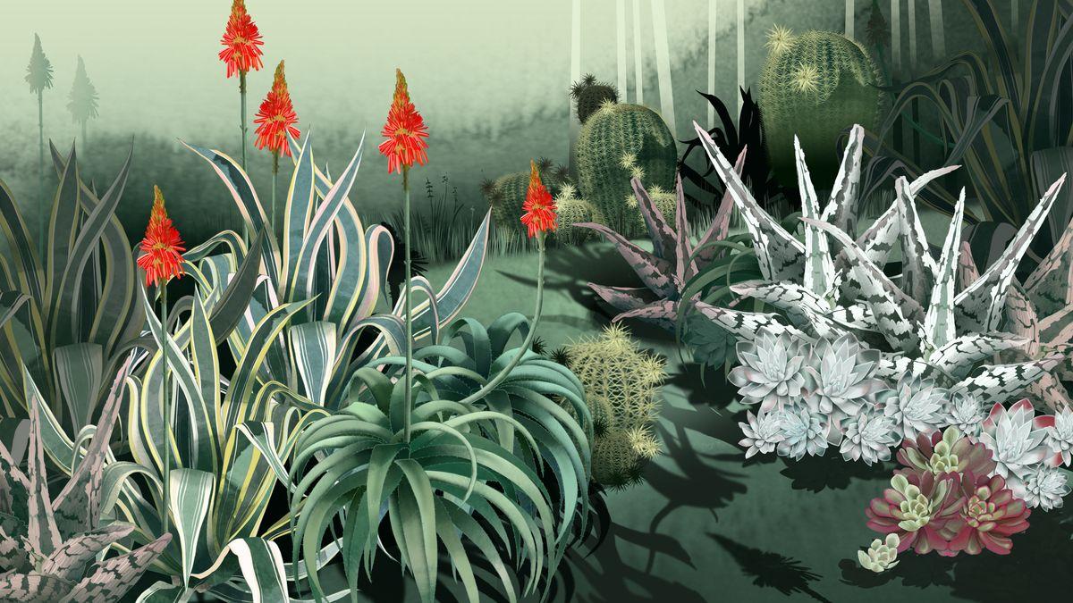 Consider the Cactus: How Succulents Took Over the World