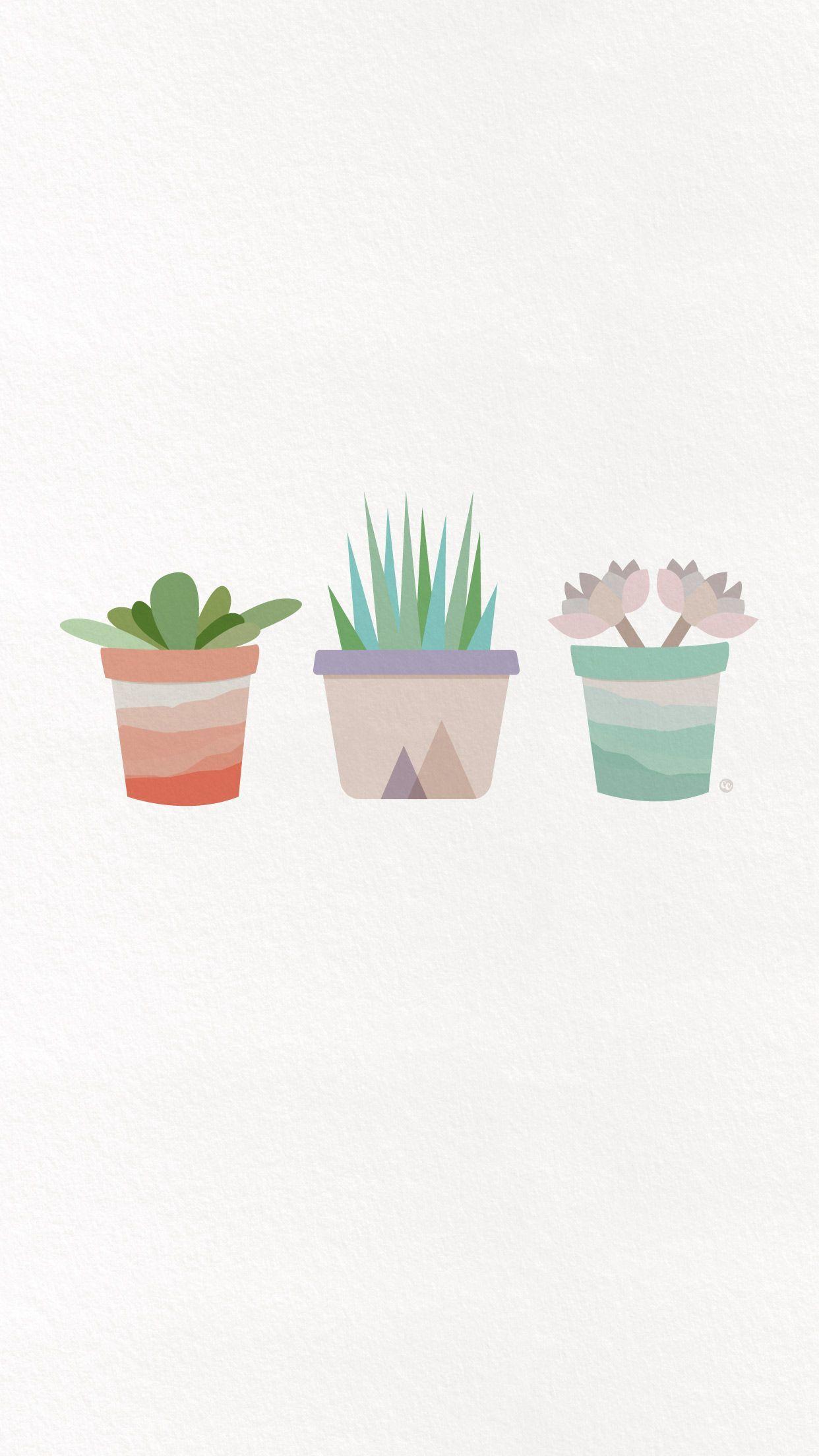 Aesthetic Succulents Wallpaper Free Aesthetic