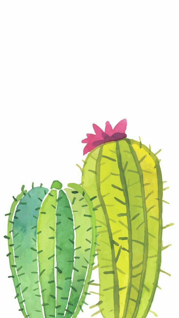 Hipster Watercolor Cactus Wallpaper