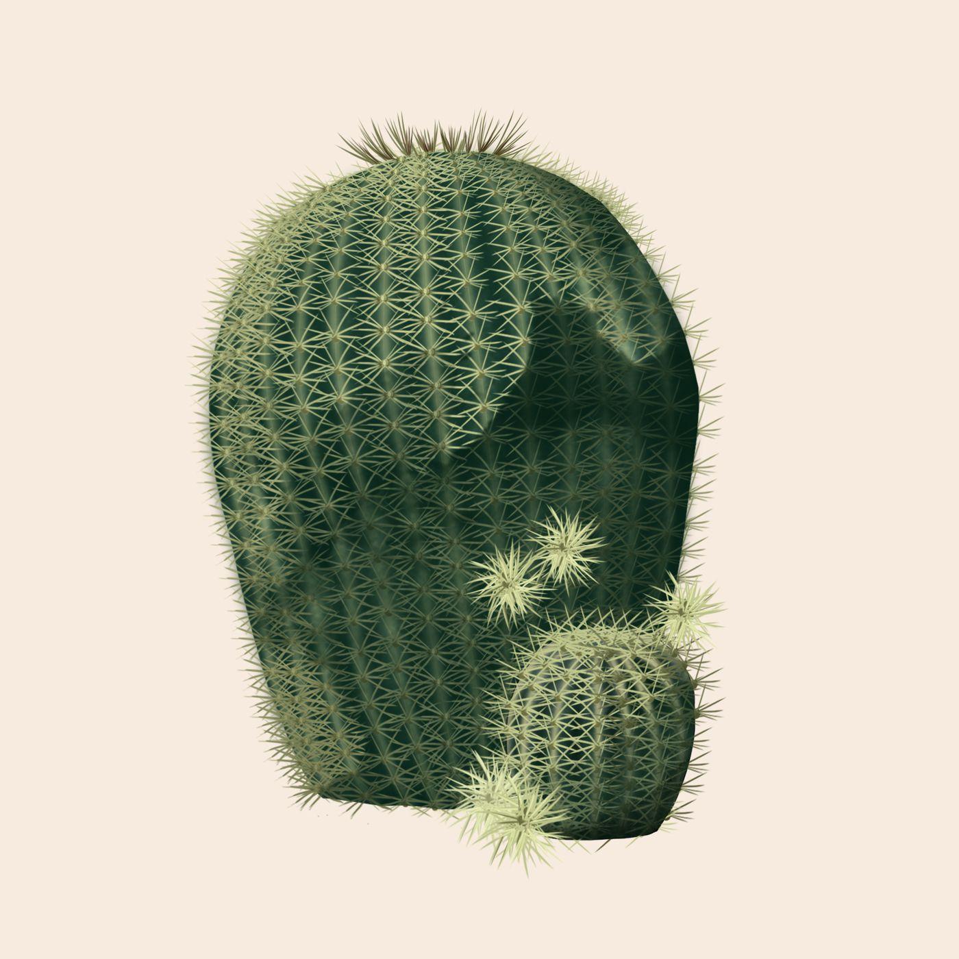 Consider the Cactus: How Succulents Took Over the World.