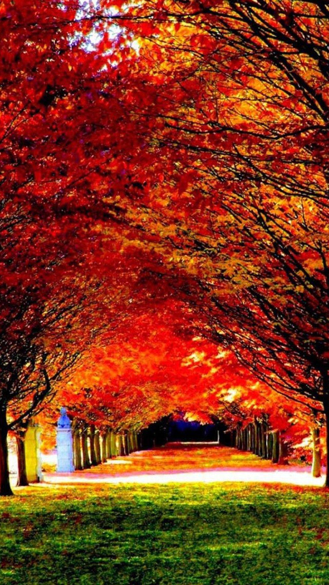 Nature Red Trees Road #iPhone #plus #Wallpaper. iPhone 8