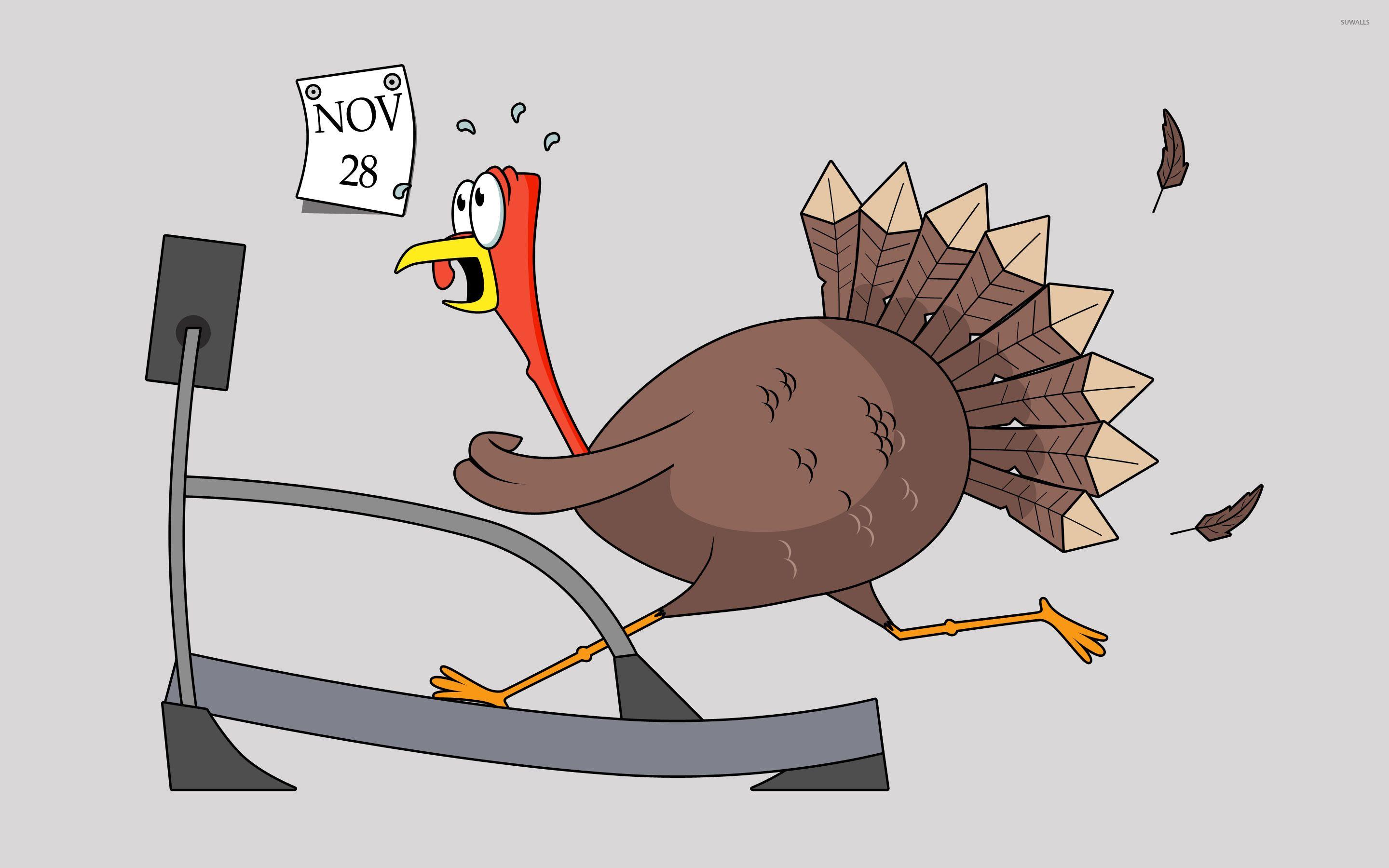 Thanksgiving Funny Turkey Wallpapers - Wallpaper Cave
