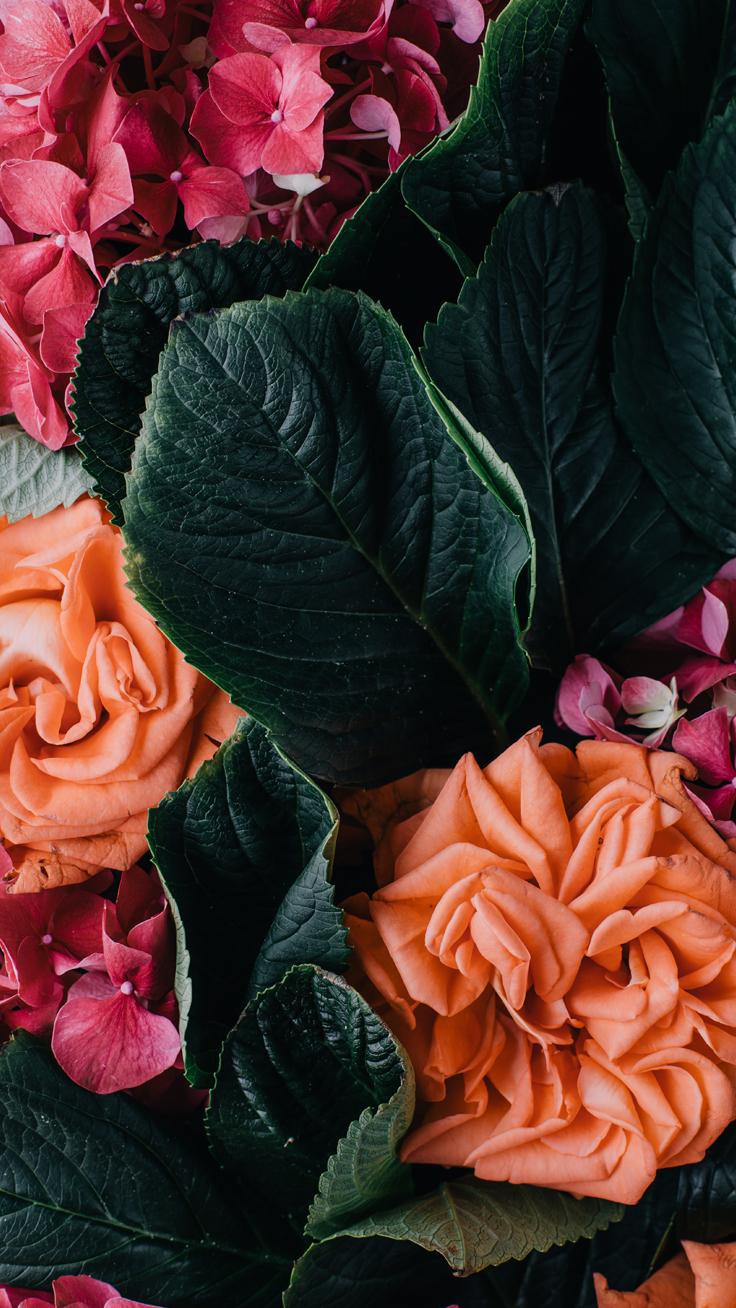 Vintage floral iPhone Wallpaper Collection