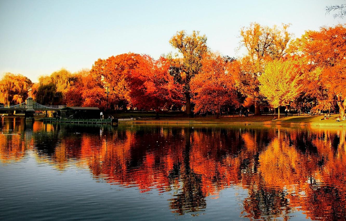Wallpaper autumn, reflection, trees, lake, Park, USA, the bridge, Boston, trees, Boston, park, autumn, lake, fall image for desktop, section природа