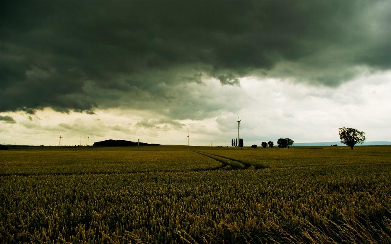 Gloomy Wheat Field Stormy Sky wallpaper. Gloomy Wheat