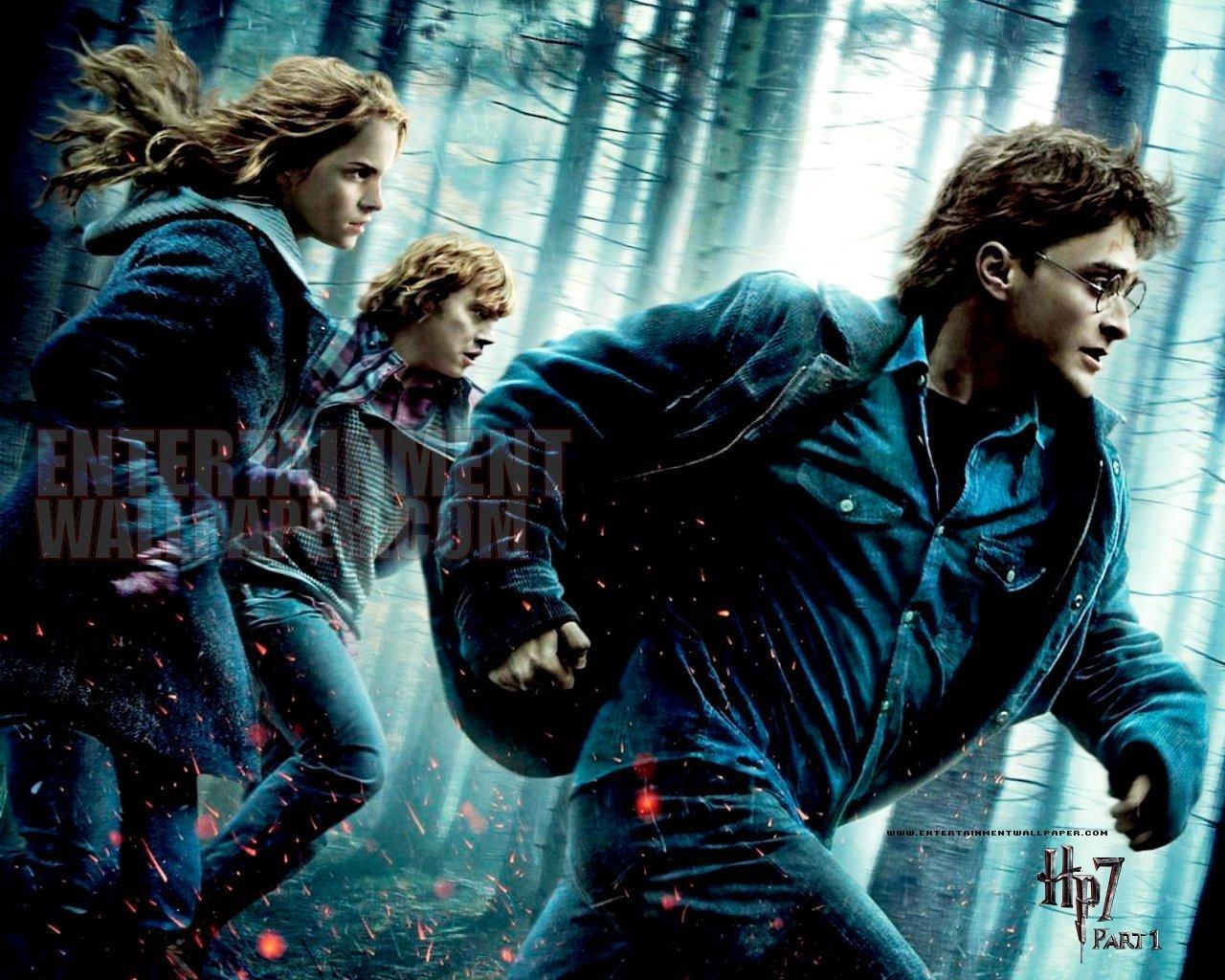 Harry Potter and the Deathly Hallows I Potter