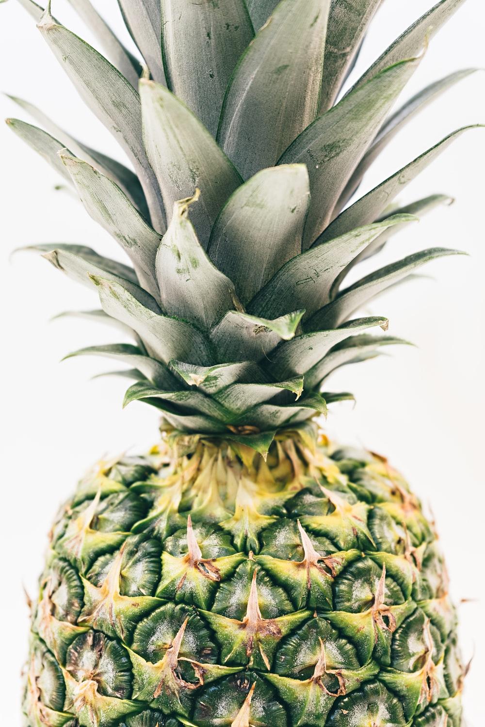 green pineapple fruit photo