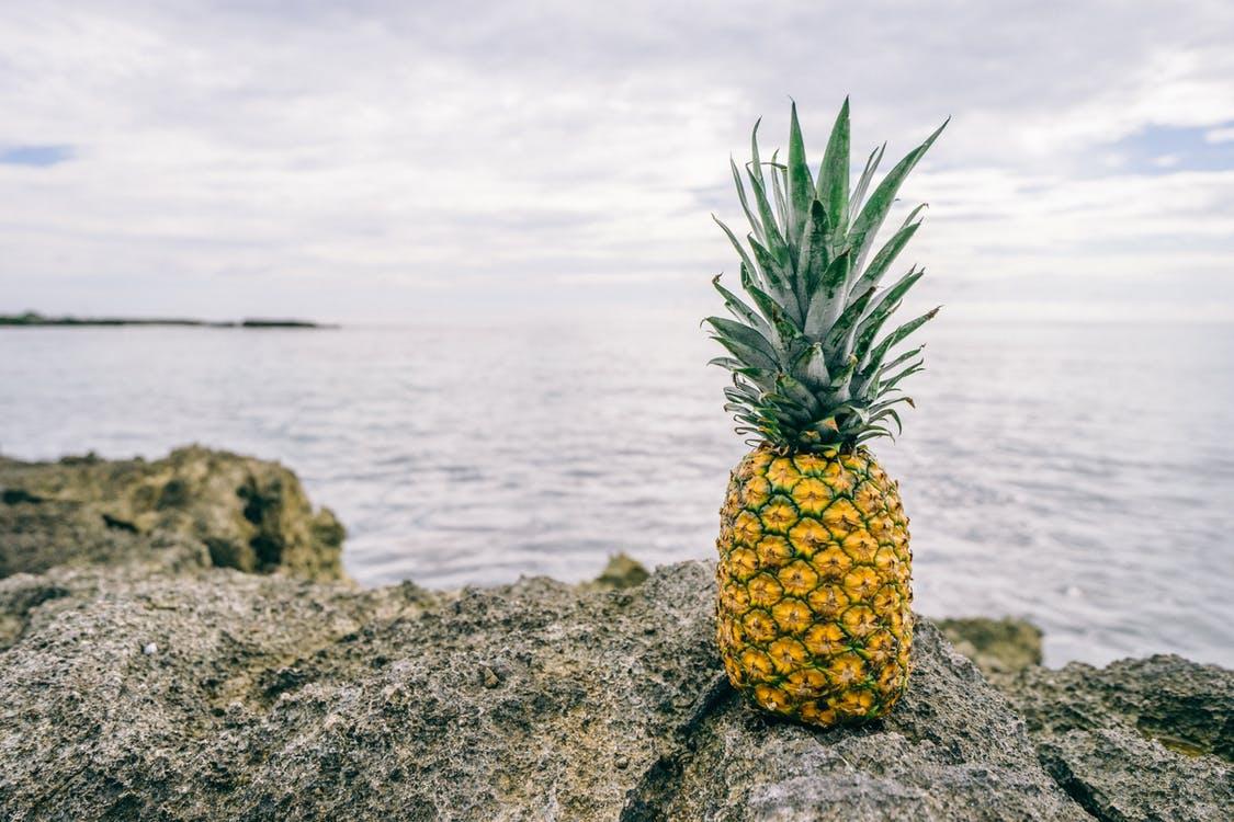 Ripe Pineapple on Gray Rock Beside Body of Water · Free