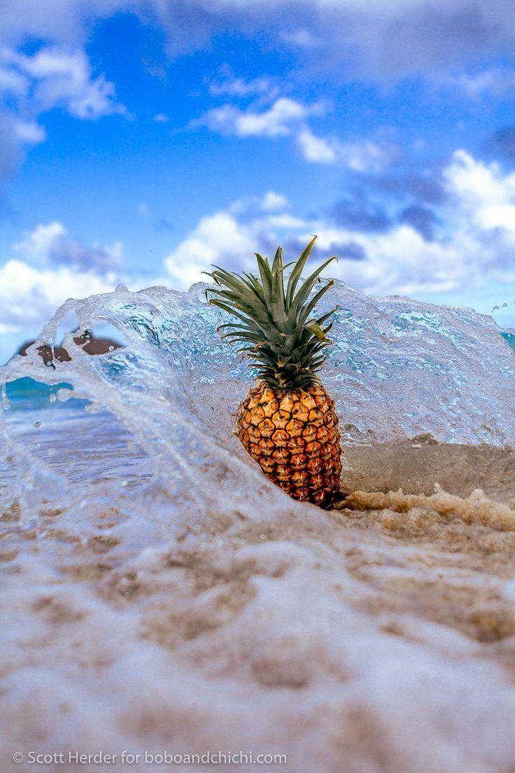 Hawaii's Famous Pineapples. Beach Travel. Pineapple