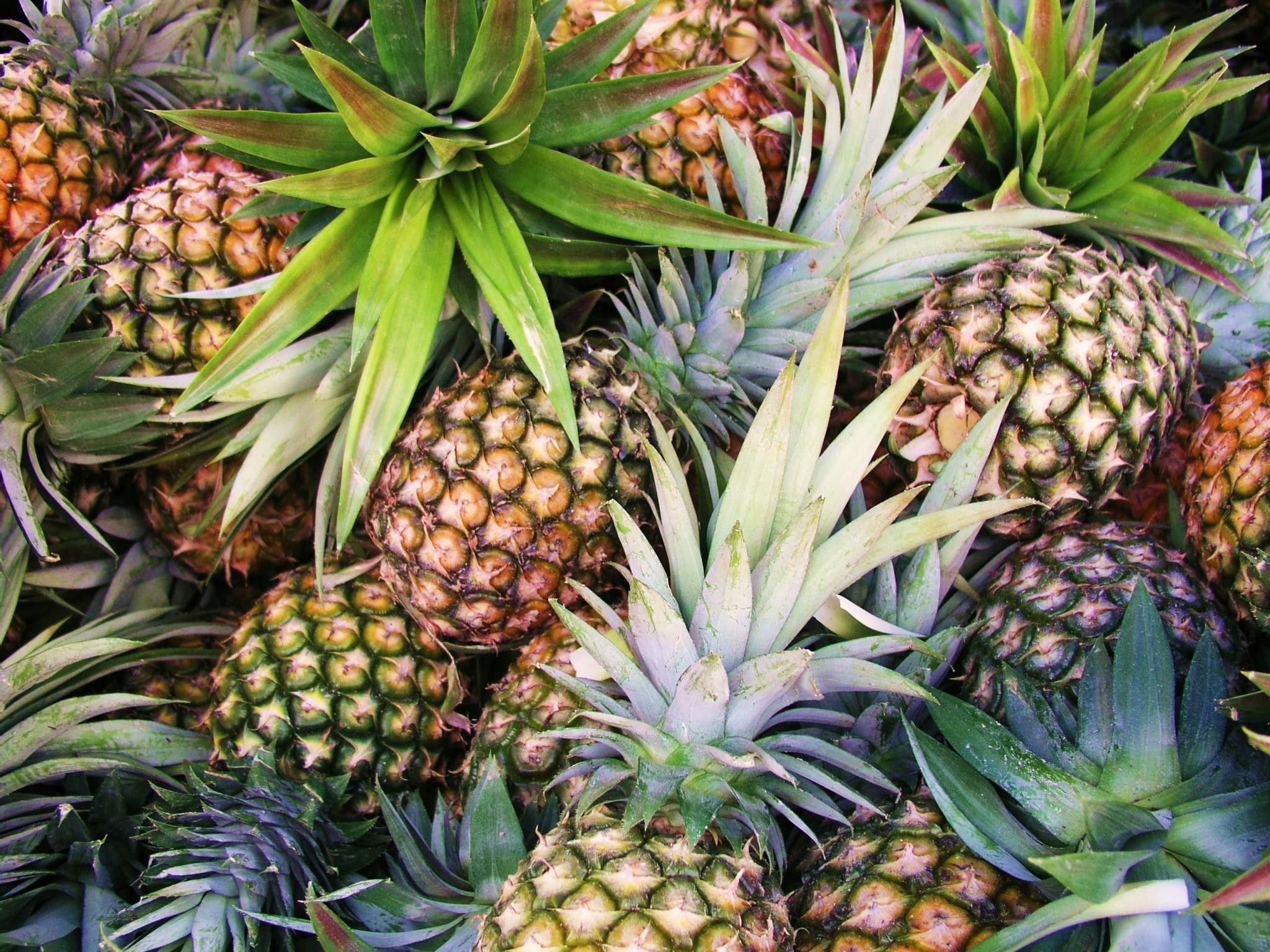 Pineapple backgroundDownload free stunning HD