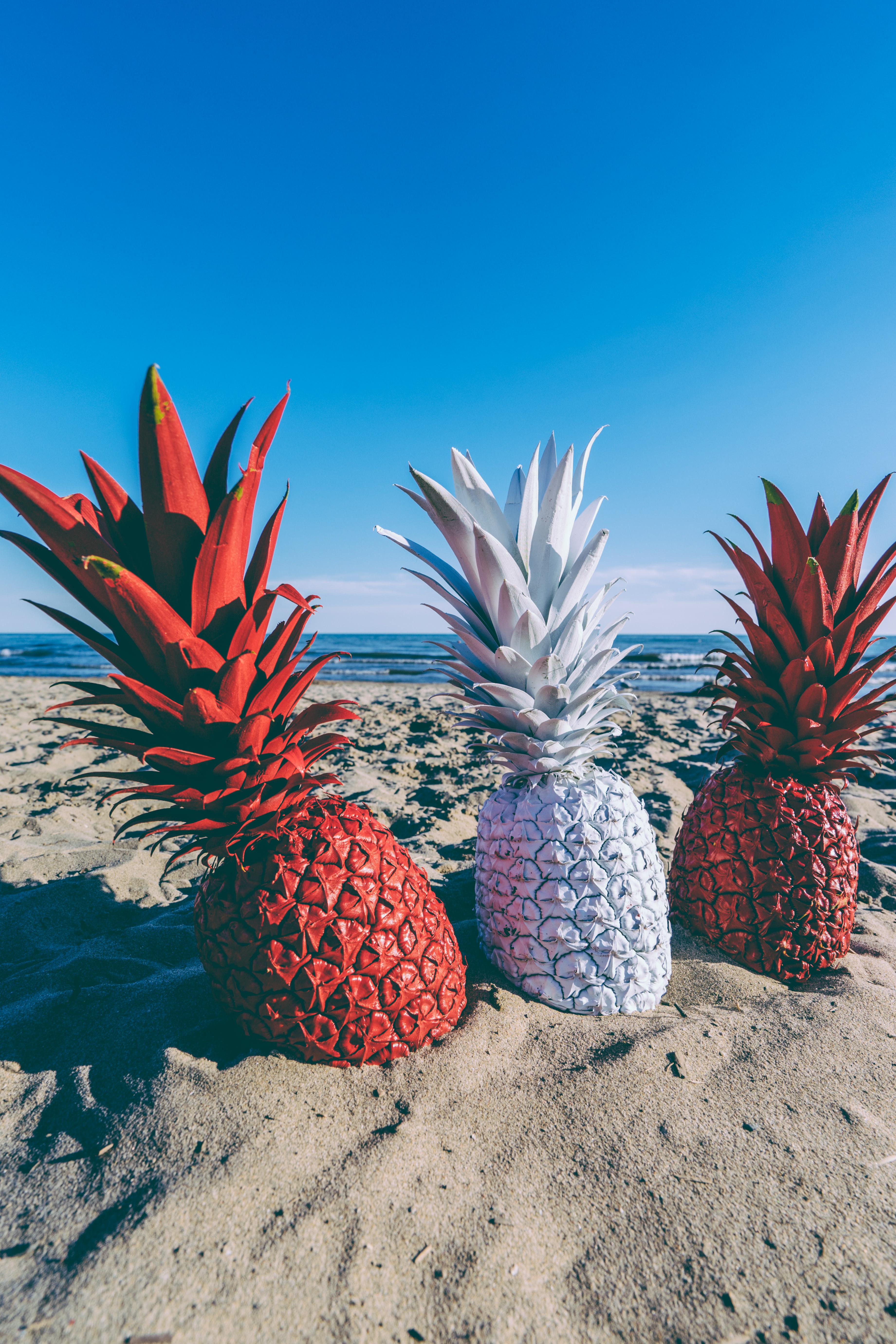 A Lost Pineapple Photo Pack! Now Available!. Pineapple