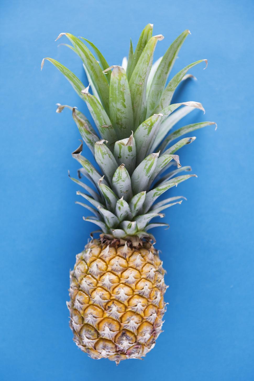 Get Free of A pineapple on blue background