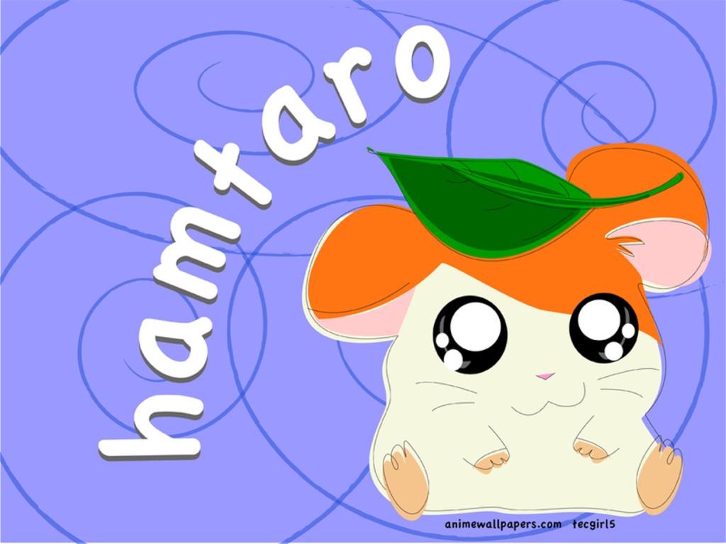 Hamtaro. Free Anime Wallpaper Site